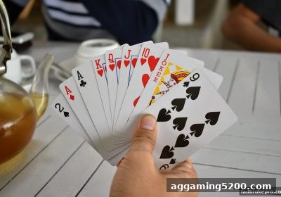 立博深度解读：桌游团队协作的艺术与实战突破