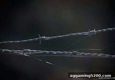 立博提醒：欧冠观赛避坑全攻略，安全与快捷支付两不误